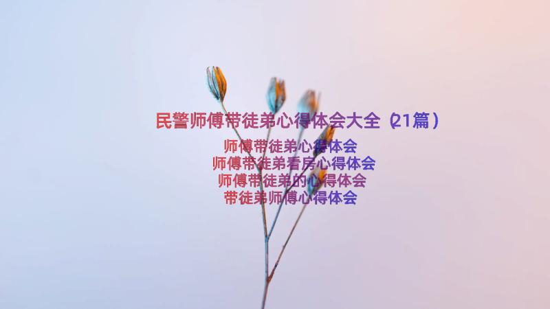 民警师傅带徒弟心得体会大全（21篇）