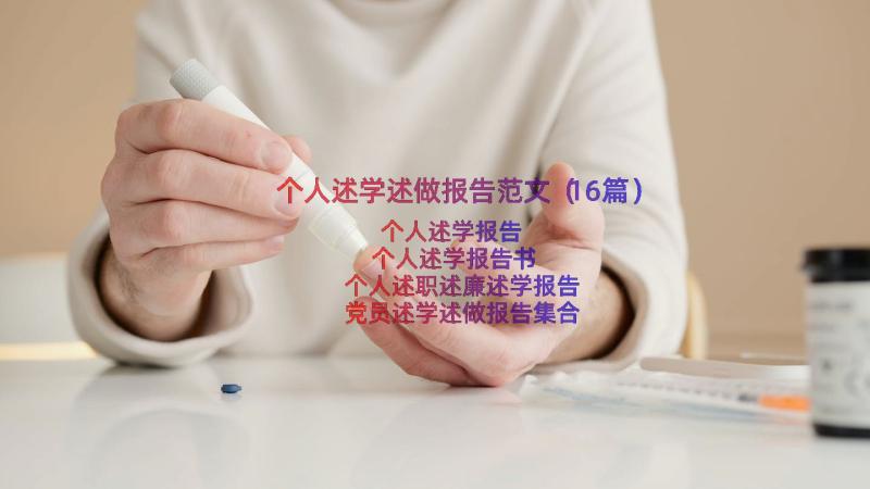 个人述学述做报告范文（16篇）