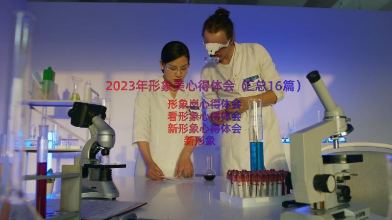 2023年形象美心得体会（汇总16篇）