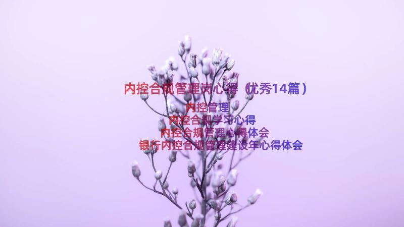 内控合规管理岗心得（优秀14篇）