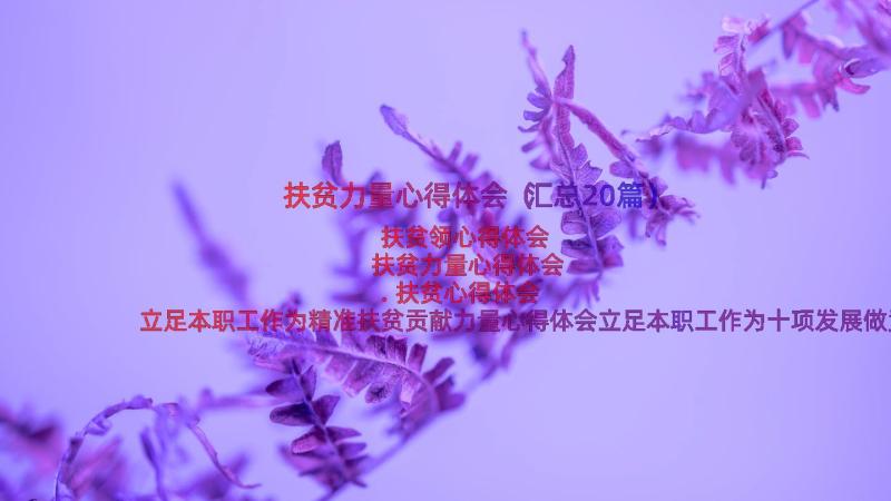 扶贫力量心得体会（汇总20篇）