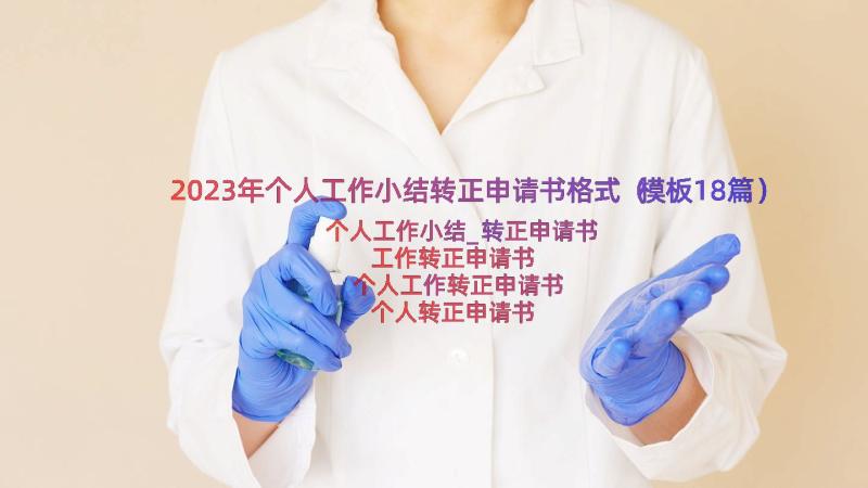 2023年个人工作小结转正申请书格式（模板18篇）