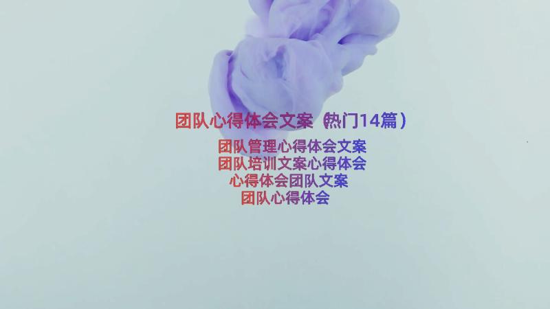 团队心得体会文案（热门14篇）