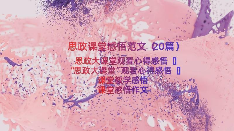 思政课堂感悟范文（20篇）