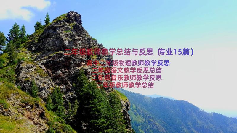 二年级教师教学总结与反思（专业15篇）