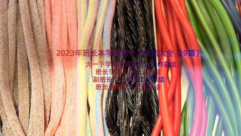 2023年班长本学期的个人总结大全（19篇）