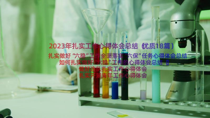 2023年扎实工作心得体会总结（优质18篇）