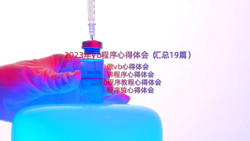 2023年vb程序心得体会（汇总19篇）