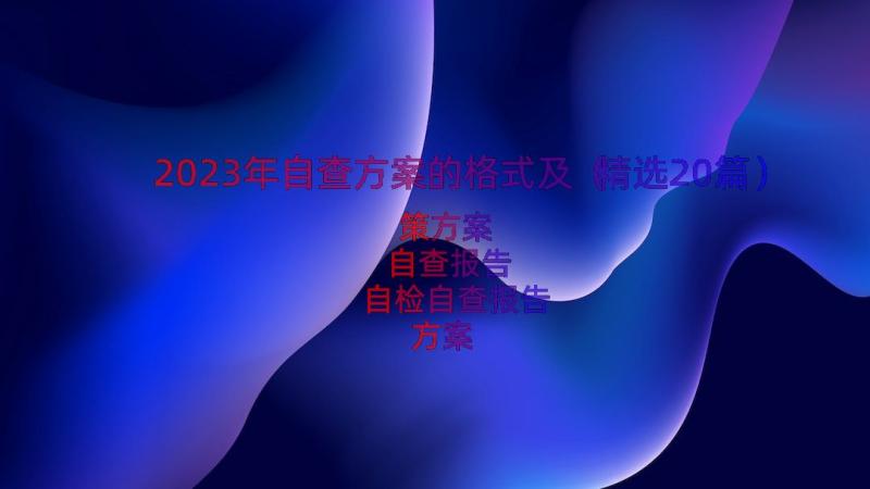 2023年自查方案的格式及（精选20篇）