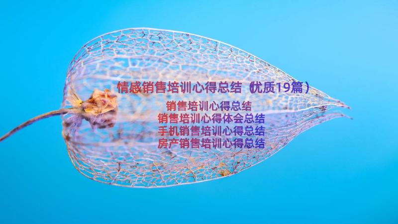 情感销售培训心得总结（优质19篇）