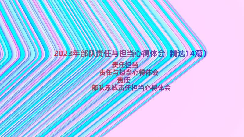 2023年部队责任与担当心得体会（精选14篇）