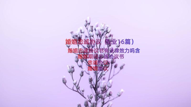 婚姻忠诚协议（专业16篇）