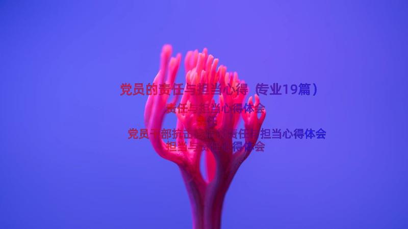 党员的责任与担当心得（专业19篇）