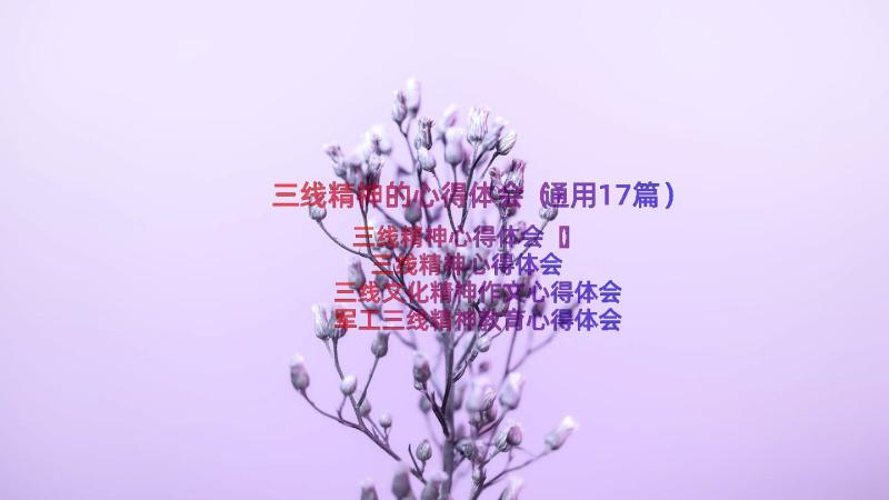 三线精神的心得体会（通用17篇）