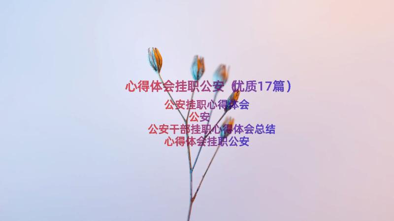 心得体会挂职公安（优质17篇）