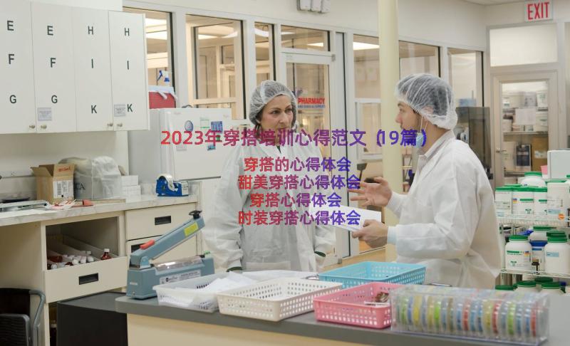 2023年穿搭培训心得范文（19篇）