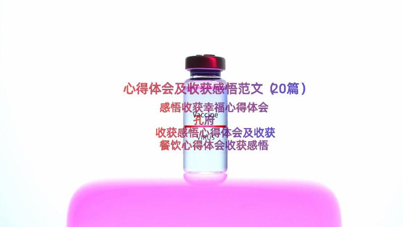 心得体会及收获感悟范文（20篇）