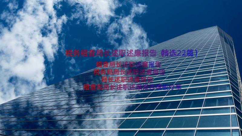 税务稽查局长述职述廉报告（精选22篇）