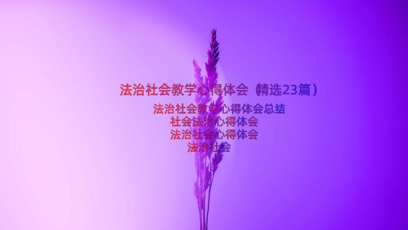 法治社会教学心得体会（精选23篇）