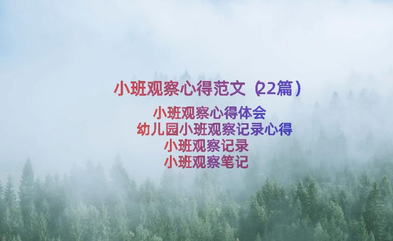 小班观察心得范文（22篇）