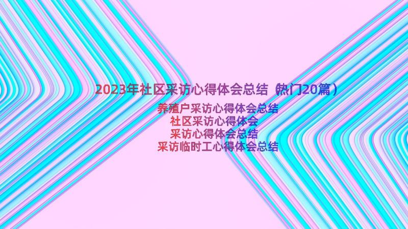 2023年社区采访心得体会总结（热门20篇）