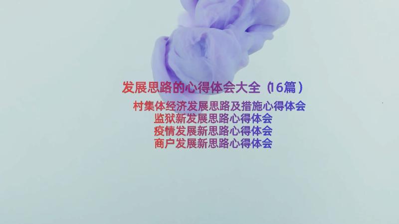 发展思路的心得体会大全（16篇）