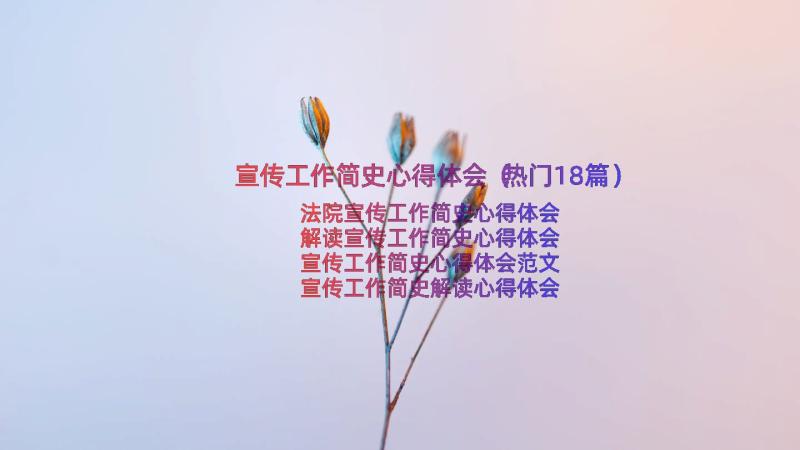 宣传工作简史心得体会（热门18篇）