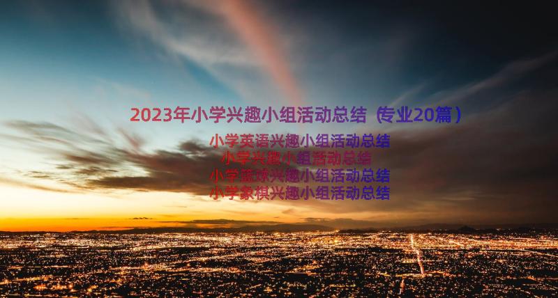 2023年小学兴趣小组活动总结（专业20篇）