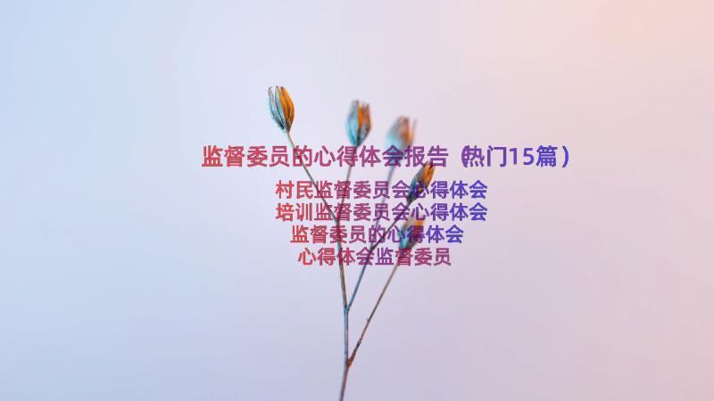 监督委员的心得体会报告（热门15篇）