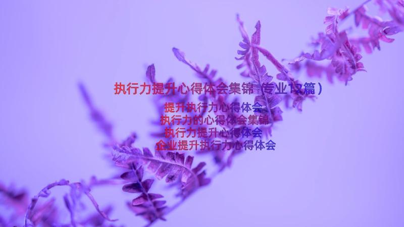 执行力提升心得体会集锦（专业12篇）