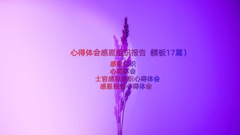 心得体会感恩组织报告（模板17篇）