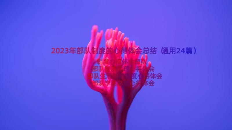 2023年部队制度的心得体会总结（通用24篇）