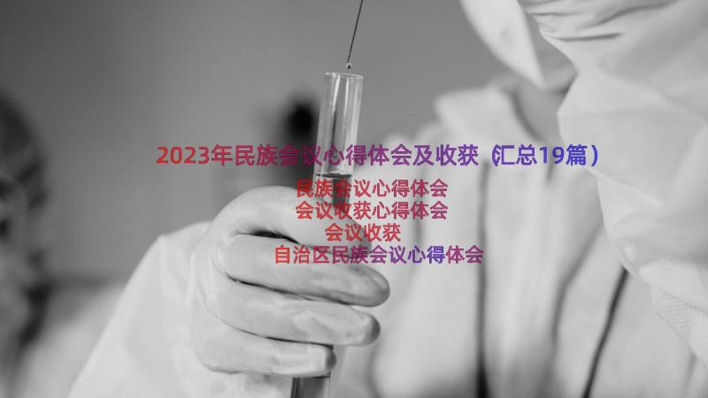 2023年民族会议心得体会及收获（汇总19篇）