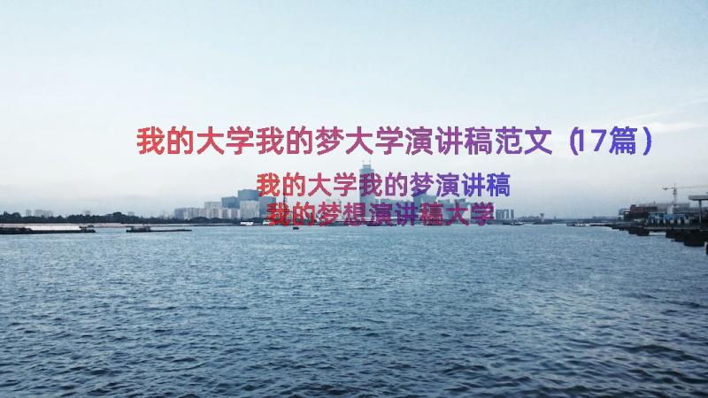 我的大学我的梦大学演讲稿范文（17篇）