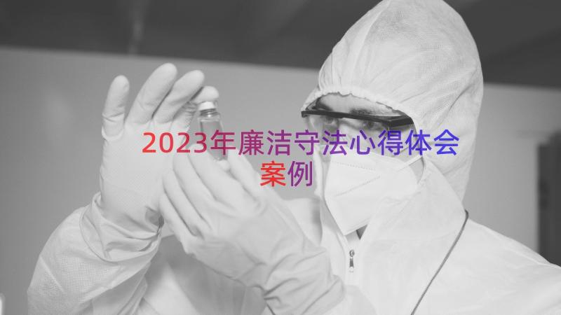 2023年廉洁守法心得体会（案例19篇）