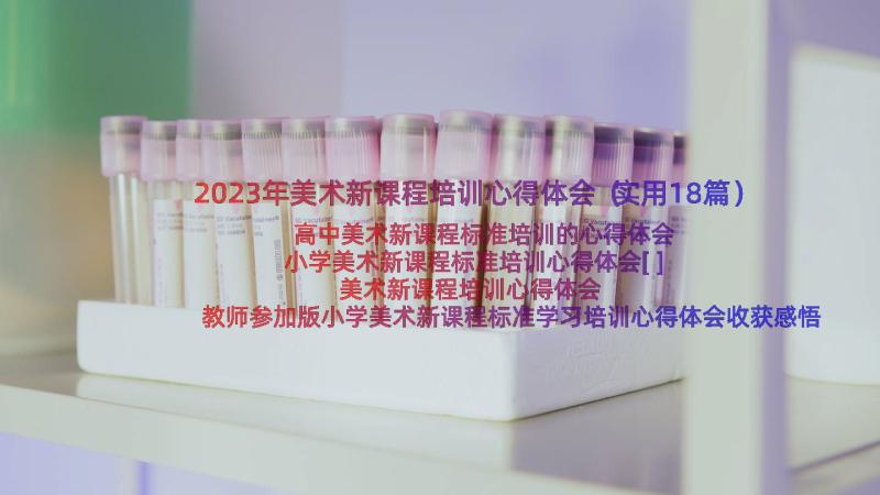 2023年美术新课程培训心得体会（实用18篇）