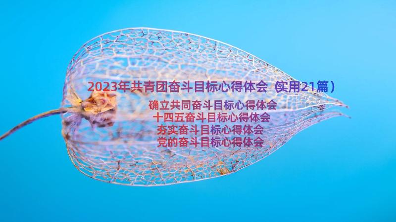 2023年共青团奋斗目标心得体会（实用21篇）