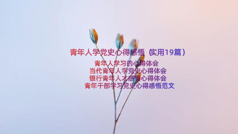 青年人学党史心得感悟（实用19篇）