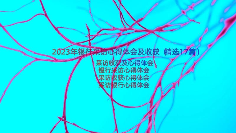 2023年银行采访心得体会及收获（精选17篇）