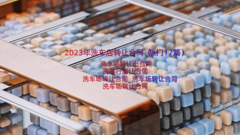 2023年洗车店转让合同（热门17篇）