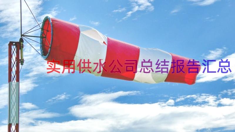 实用供水公司总结报告（汇总12篇）