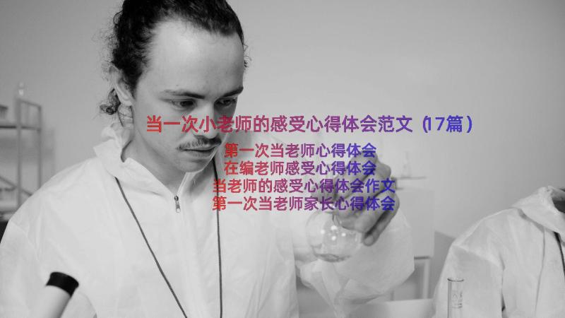 当一次小老师的感受心得体会范文（17篇）