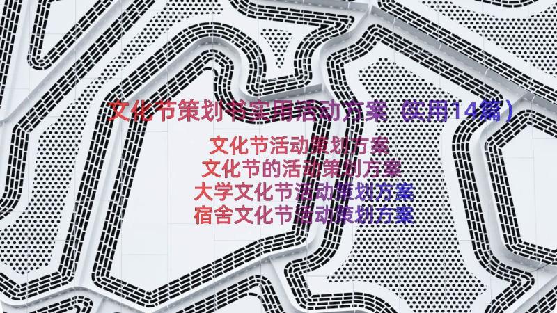 文化节策划书实用活动方案（实用14篇）