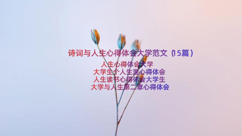 诗词与人生心得体会大学范文（15篇）