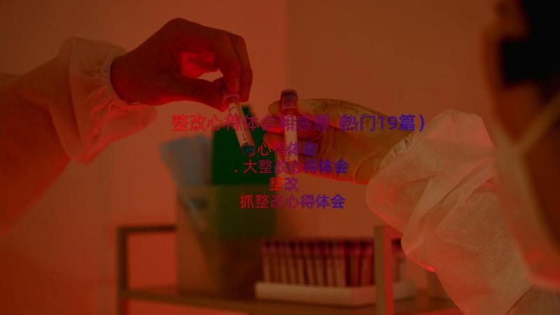 整改心得体会和感想（热门19篇）