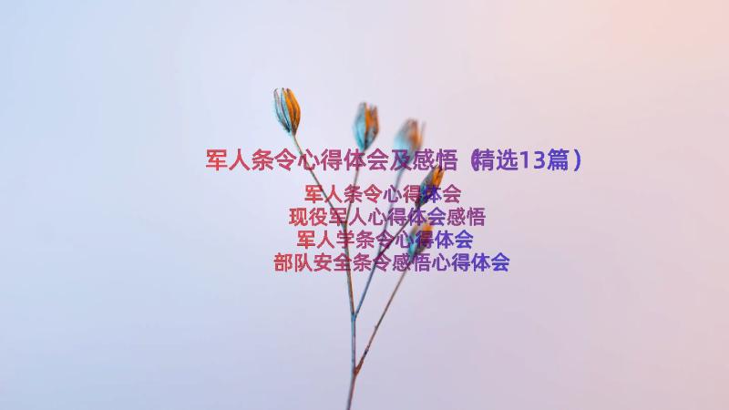 军人条令心得体会及感悟（精选13篇）