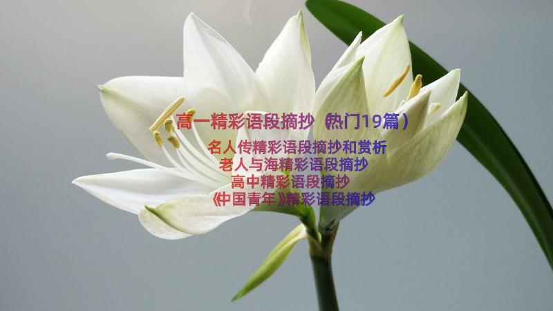 高一精彩语段摘抄（热门19篇）