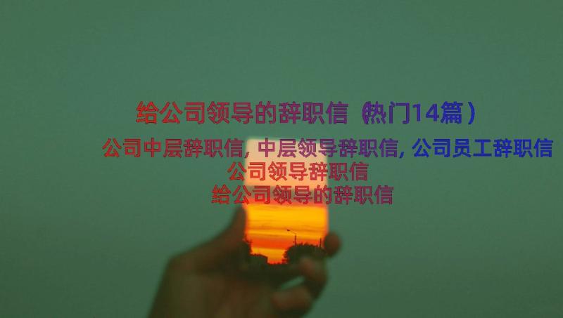 给公司领导的辞职信（热门14篇）