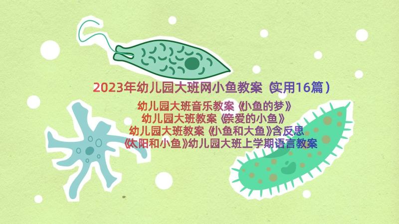 2023年幼儿园大班网小鱼教案（实用16篇）