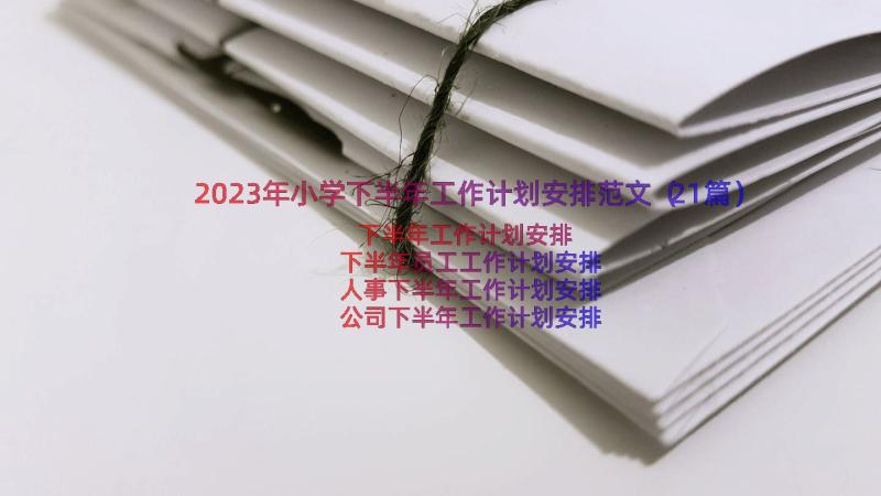 2023年小学下半年工作计划安排范文（21篇）